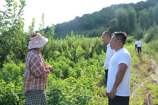 adb14121b9bbe542724924b334a50e0e